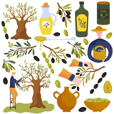 Zeytin yağı ürünleri, izole ikonlar vektör illüstrasyonu