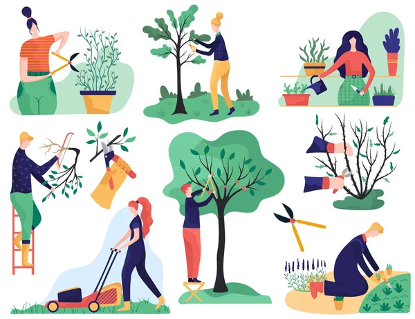 Jardinagem e corte de galhos de árvores, desenho animado ilustração vetorial — Vetor de Stock