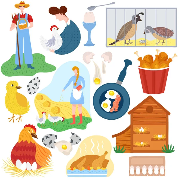 Drůbeží farma, vejce a maso z kuřecích produktů, vektorová ilustrace — Stockový vektor