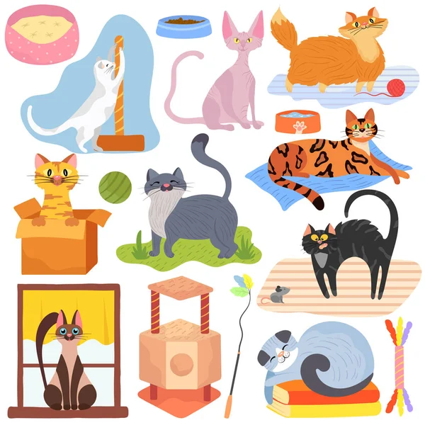 Gatos de diferentes razas, conjunto de pegatinas con mascotas gatito lindo, ilustración vectorial — Archivo Imágenes Vectoriales