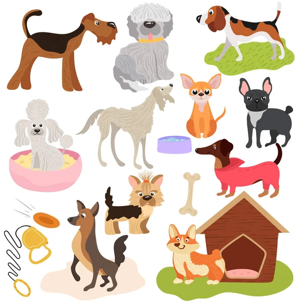 Cani di razze diverse, cucciolo insieme simpatici animali domestici, illustrazione vettoriale. Animali divertenti personaggi dei cartoni animati, cucciolo giocoso, giocattoli e accessori per animali domestici. Vari cani, segugio e terrier — Vettoriale Stock