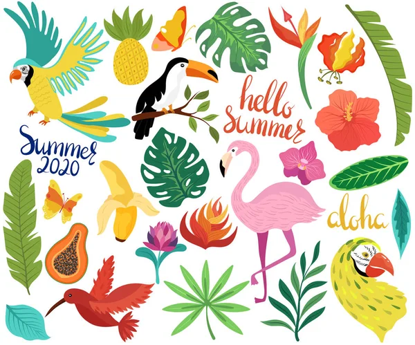 Letnie ikony z tropikalnych ptaków i egzotycznych kwiatów wektor ilustracji — Wektor stockowy