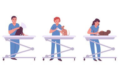 Veterinerlik kliniğinde beyaz vektör ve illüstrasyonla izole edilmiş farklı kedilerin karikatür erkek ve kadın veteriner muayenesi.