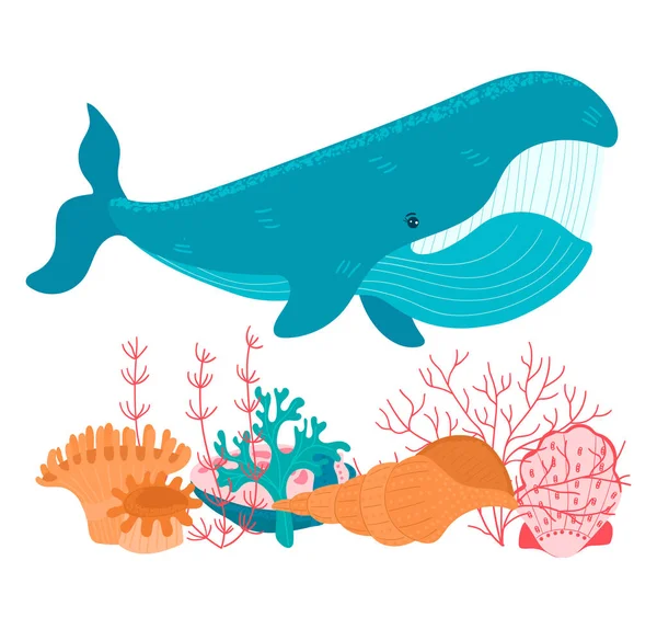 Kreslená velká modrá velryba a mořská malá mušle a řasy na dně oceánu izolované na bílém, vektor, ilustrace — Stockový vektor