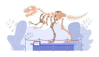 Doğal Tarih Müzesi 'ndeki dinozor iskeleti, paleontoloji sergisi, vektör illüstrasyonu
