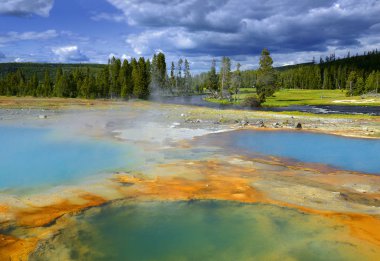 Yellowstone Ulusal Parkı Usa - Bisküvi Havzası, Unesco Dünya Mirası Bölgesi Jeotermal aktiviteleri