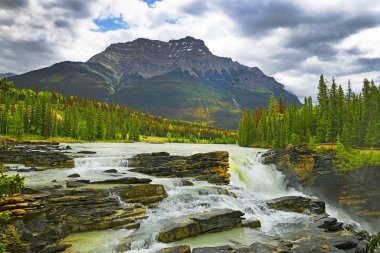 Güçlü resimli şelale Athabasca. Kanada, Jasper Ulusal Parkı, Unesco Dünya Mirası Alanı