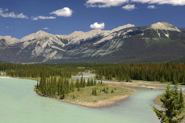 Rzeka Athabasca Pobliżu Miasta Jasper Park Narodowy Jasper Alberta Kanada — Zdjęcie stockowe