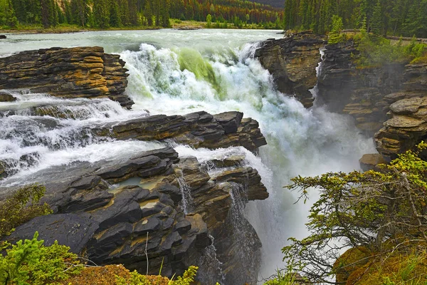 Potężny Malowniczy Wodospad Athabasca Kanada Park Narodowy Jasper Lista Światowego — Zdjęcie stockowe
