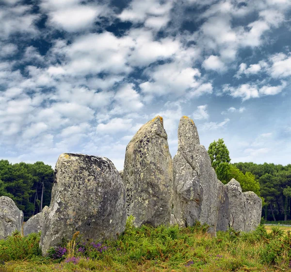 Carnac Piedras Menhires Alineación Kermario Bretaña Francia — Foto de Stock