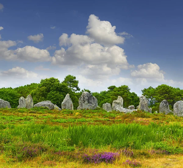 Carnac Stones Menhirs Alignment Kermario Brittany França — Fotografia de Stock