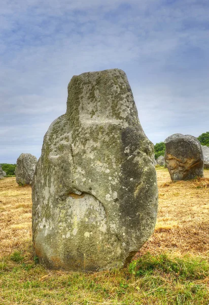 Pierres Carnac Alignement Des Menhirs Kermario Bretagne France — Photo