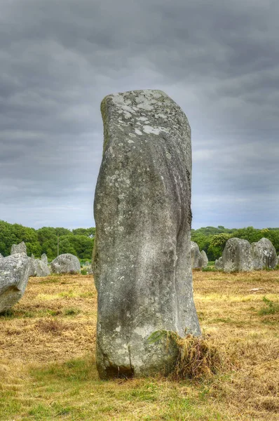 Carnac Piedras Menhires Alineación Kermario Bretaña Francia — Foto de Stock