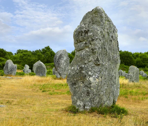 Carnac Piedras Menhires Alineación Menec Bretaña Francia — Foto de Stock