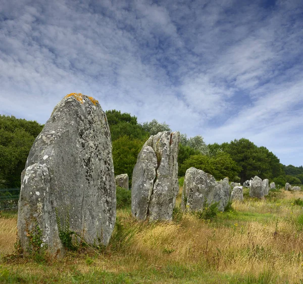 Carnac Piedras Menhires Alineación Menec Bretaña Francia — Foto de Stock