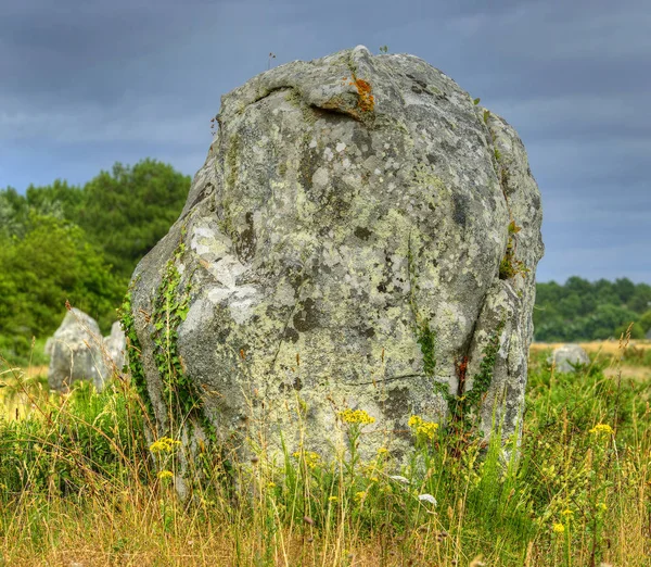 Carnac Stones Menhirs Alignment Menec Brittany France — стоковое фото