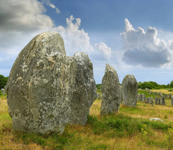 Carnac Stones Menhirs Alignment Menec Brittany França — Fotografia de Stock