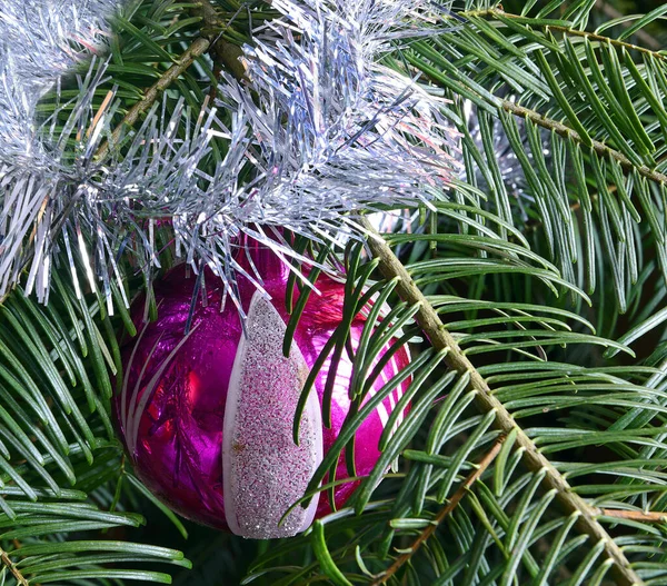 Weihnachtsbaum Und Weihnachtsschmuck Hintergrund — Stockfoto