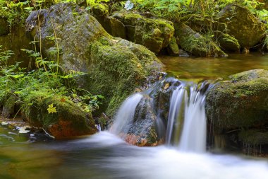 Kayaların üzerinden akan su, Bila Opava nehri, Jeseniky dağları, övülen dağ, Karlova Studanka kasabası, Çek Cumhuriyeti