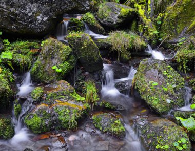 Kayaların üzerinden akan su, Bila Opava nehri, Jeseniky dağları, övülen dağ, Karlova Studanka kasabası, Çek Cumhuriyeti