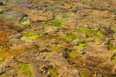 Yellowstone Ulusal Parkı Usa - Bisküvi Havzası, Soyut oluşumlar, Unesco Dünya Mirası Bölgesi