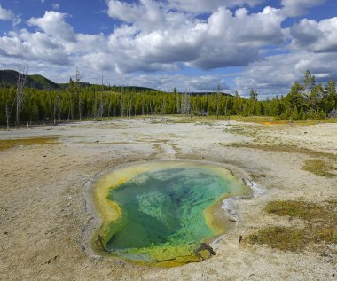 Yellowstone Ulusal Parkı Usa - Bisküvi Havzası, Unesco 'nun Dünya Mirası sahaları