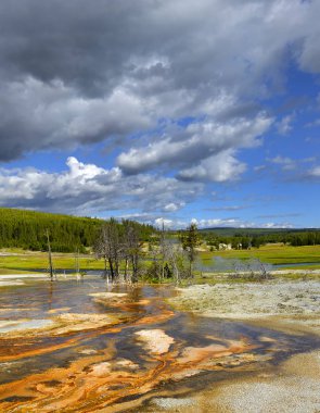 Yellowstone Ulusal Parkı Usa - Bisküvi Havzası, Unesco 'nun Dünya Mirası sahaları