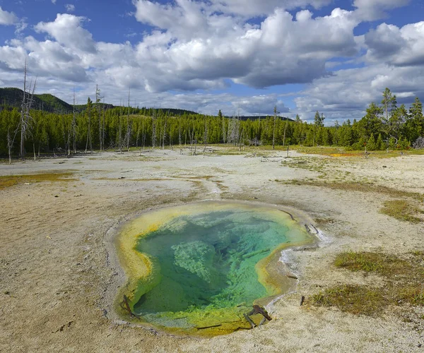 Paisajes Escénicos Actividad Geotérmica Del Parque Nacional Yellowstone Estados Unidos — Foto de Stock