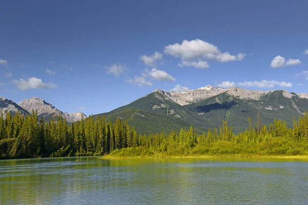 Bow River Banff National Park Alberta Canada Nationaal Park Banff — Stockfoto