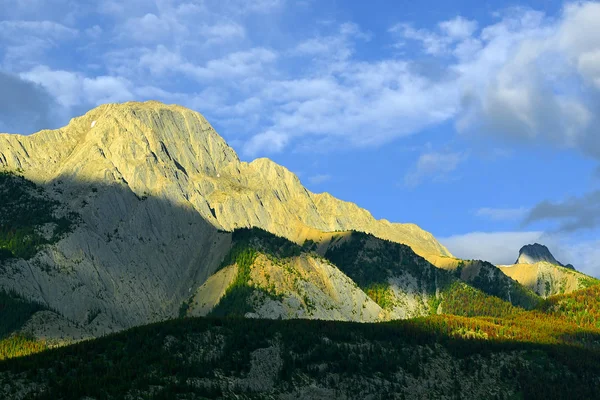 Rockies Colin Range Jaspers Nationalpark Alberta Kanada Jaspers Nationalpark Ett — Stockfoto