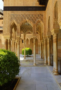 Nasrid Sarayı (Palacios Nasıres) Alhambra Sarayı, Granada, Endülüs, İslam sanatı - Unesco Dünya Mirası Sitesi, İspanya