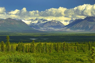 Denali Otoyolu, Alaska Sıradağları, Alaska, Usa çevresindeki Kuzey manzarası