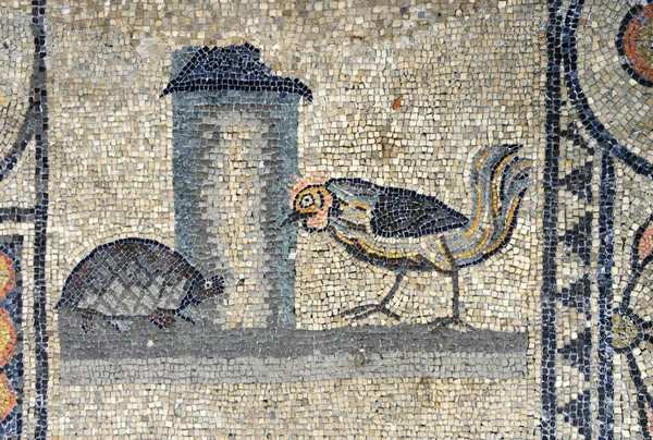 İtalya, Aquileia 'dan Santa Maria Assunta Bazilikası' nın eşsiz Roma mozaikleri. Aquileia, Unesco Dünya Mirası Alanı 'dır.