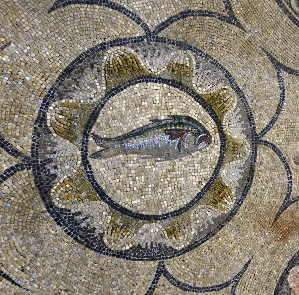 Unikke Romerske Mosaikker Basilica Santa Maria Assunta Aquileia Italien Aquileia - Stock-foto