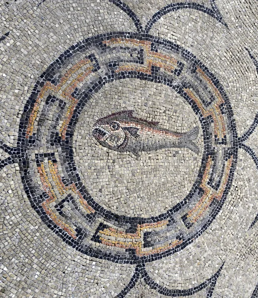 Unique Roman Mosaics Basilica Santa Maria Assunta Aquileia Italy Aquileia — 스톡 사진