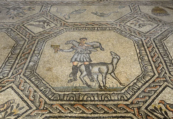 Unika Romerska Mosaiker Från Basilica Santa Maria Assunta Aquileia Italien — Stockfoto