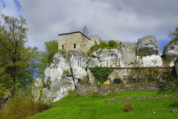 Bakowiec Şatosu - Xiv yüzyılından kalma bir şövalye kalesinin kalıntıları, Krakow-Czestochowa Jura 'da yatıyor, sözde Kartal Yuvaları sisteminde, Morsko, Polonya