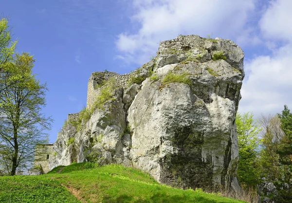 Bakowiec Şatosu - Xiv yüzyılından kalma bir şövalye kalesinin kalıntıları, Krakow-Czestochowa Jura 'da yatıyor, sözde Kartal Yuvaları sisteminde, Morsko, Polonya