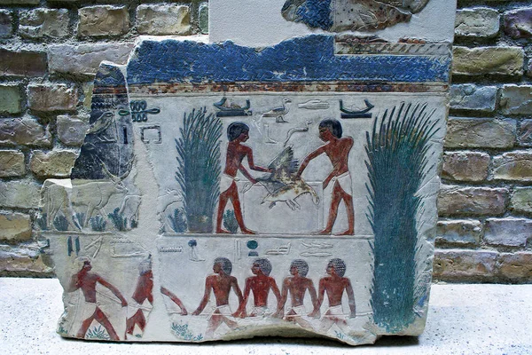 Berlin Tyskland Utställning Nytt Museum Egyptisk Samling Fragment Reliefer Cheker — Stockfoto