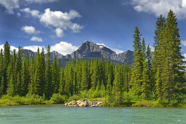 Bow River Parku Narodowym Banff Alberta Kanada Park Narodowy Banff — Zdjęcie stockowe