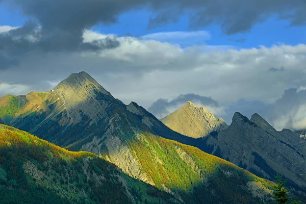 Rockies Colin Range Jasper National Park Alberta Kanada Národní Park — Stock fotografie