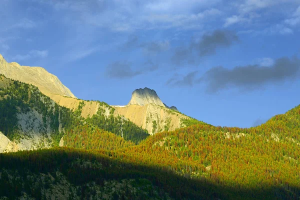 Rockies Colin Range Jasper National Park Alberta Canadá Parque Nacional — Fotografia de Stock