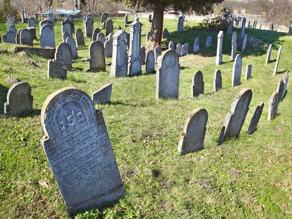 Osoblaha República Checa Antiguo Cementerio Judío Con Las Tumbas Más — Foto de Stock