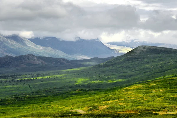 Krajobraz Skandynawski Wokół Autostrady Denali Alaska Range Alaska Usa — Zdjęcie stockowe