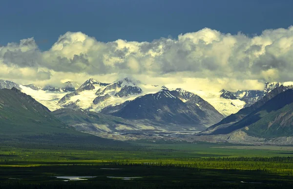 Nordische Landschaft Rund Denali Highway Alaska Range Alaska Usa — Stockfoto