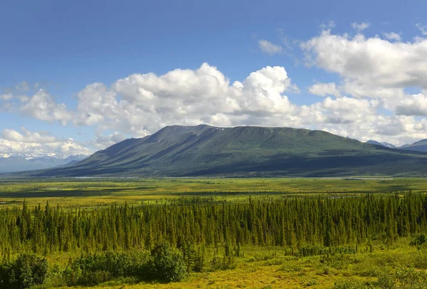 Nordiskt Landskap Kring Denali Highway Alaska Range Alaska Usa — Stockfoto