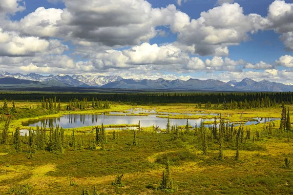 Nordiskt Landskap Kring Denali Highway Alaska Range Alaska Usa — Stockfoto