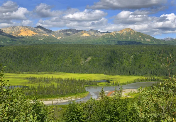 Floden Nenana Denali Highway Alaska Usa — Stockfoto