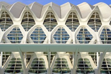 Valencia, İspanya - Sanat ve Bilim Şehri, Calatrava mimarı tarafından 1998 yılında yaratılan bilimsel ve kültürel yayılma üzerine kurulmuş bir kompleks..