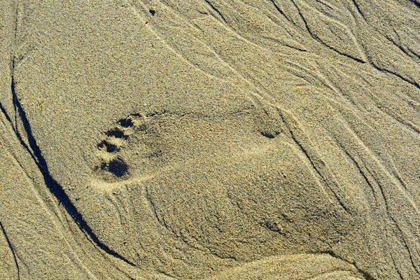 砂の中の抽象的な形状 — ストック写真